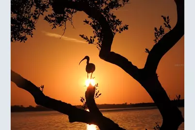 4409 Mount Vernon Drive, Bradenton, FL 34210 - Photo 79