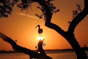 4409 Mt Vernon Dr, Bradenton, FL 34210 - Photo 79