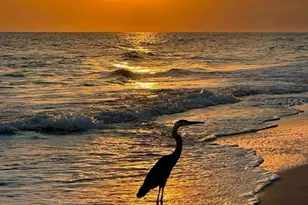 4310 Falmouth Dr, Longboat Key, FL 34228 - Photo 91