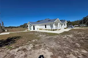 359 Terminal Ave, Polk City, FL 33868 - Photo 17