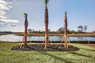 19111 Fox Lndg Pl, Lakewood Ranch, FL 34211 - Photo 59