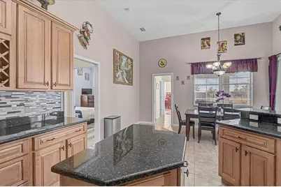 25202 E 61st Avenue, Myakka City, FL 34251 - Photo 11