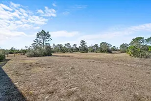 25202 E 61st Ave, Myakka City, FL 34251 - Photo 47