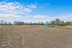 25202 E 61st Ave, Myakka City, FL 34251 - Photo 5