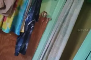 4886 Reece Rd, Plant City, FL 33566 - Photo 11