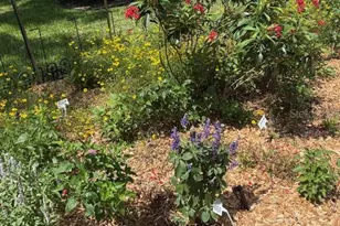 7604 Weeping Willow Cir, Sarasota, FL 34241 - Photo 71