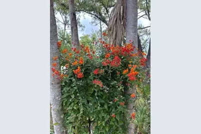 7604 Weeping Willow Circle, Sarasota, FL 34241 - Photo 67