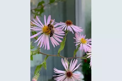 7604 Weeping Willow Circle, Sarasota, FL 34241 - Photo 75