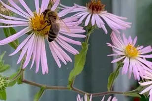 7604 Weeping Willow Cir, Sarasota, FL 34241 - Photo 75