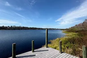 24610 State Road 64 E, Myakka City, FL 34251 - Photo 41