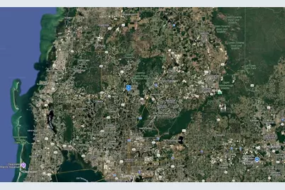 3254 Grove Place, Land O Lakes, FL 34639 - Photo 5