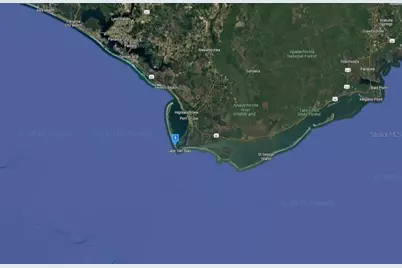 3855 Cape San Blas Road, Port Saint Joe, FL 32456 - Photo 5