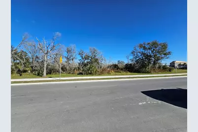 11957 Kingsley Trail, Parrish, FL 34219 - Photo 7