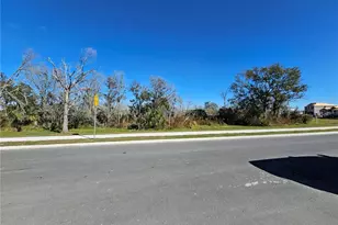 11957 Kingsley Trl, Parrish, FL 34219 - Photo 7