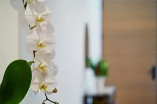 948 Citrus Ave, Sarasota, FL 34236 - Photo 53