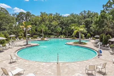10008 Last Light Glen, Parrish, FL 34219 - Photo 43