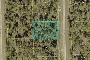 2145 Viscount Ave, Lehigh Acres, FL 33972 - Photo 1