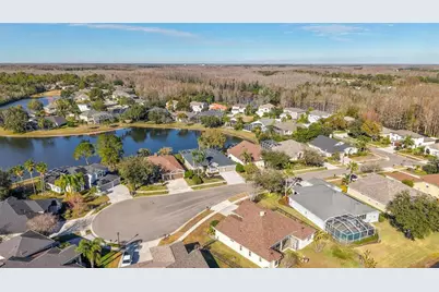 6107 Cognac Circle, Lutz, FL 33558 - Photo 43