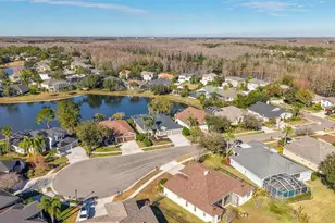 6107 Cognac Cir, Lutz, FL 33558 - Photo 43