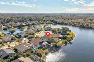 6107 Cognac Cir, Lutz, FL 33558 - Photo 45