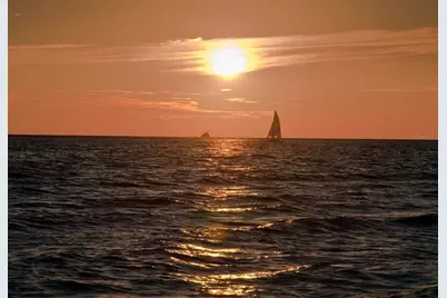 2442 Hively Street, Sarasota, FL 34231 - Photo 73