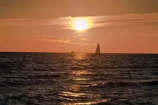 2442 Hively St, Sarasota, FL 34231 - Photo 73