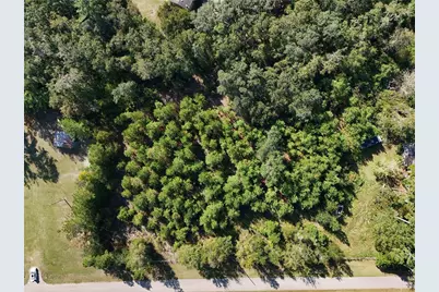 71st Way, Lake Butler, FL 32054 - Photo 5