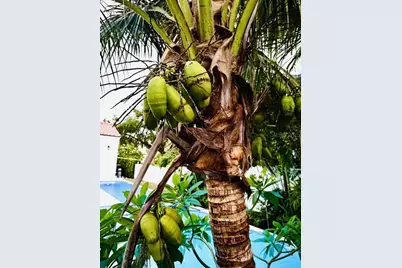 1234 W Ivanhoe Boulevard, Orlando, FL 32804 - Photo 23