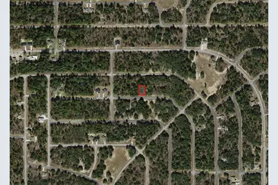 1451 W Dolores Drive, Citrus Springs, FL 34434 - Photo 3