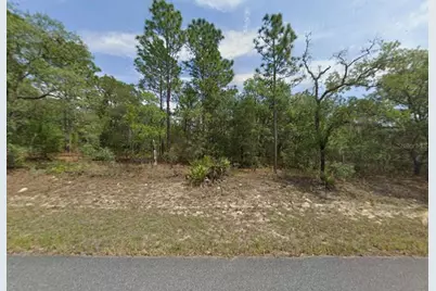 1451 W Dolores Drive, Citrus Springs, FL 34434 - Photo 5