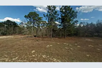 6579 N Edelweiss Way, Citrus Springs, FL 34434 - Photo 5