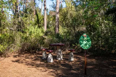 8111 Santa Rosa Court, Sarasota, FL 34243 - Photo 59