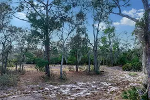 9922 289th St E, Myakka City, FL 34251 - Photo 31