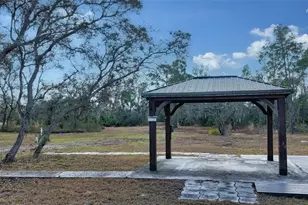 9922 289th St E, Myakka City, FL 34251 - Photo 29