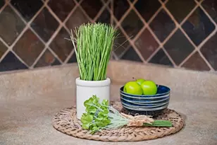 6635 Brentford Rd, Sarasota, FL 34241 - Photo 15