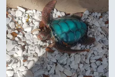 311 58th Avenue E #311, Bradenton, FL 34203 - Photo 35