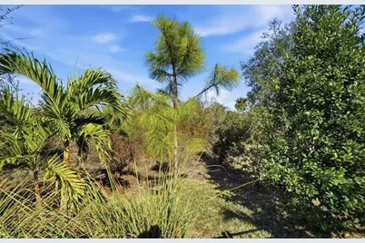 5422 Morey Farms Loop, Palmetto, FL 34221 - Photo 59