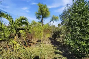 5422 Morey Farms Loop, Palmetto, FL 34221 - Photo 59