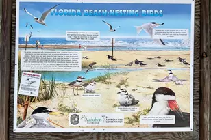 800 S Boulevard of the Presidents, Sarasota, FL 34236 - Photo 65