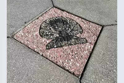 800 S Blvd Of The Presidents #9, Sarasota, FL 34236 - Photo 89