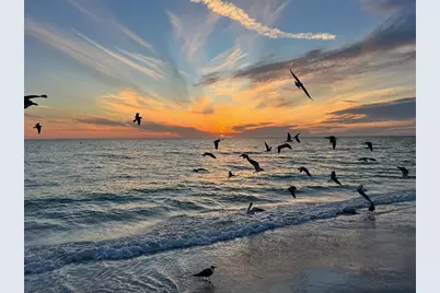 800 S Blvd Of The Presidents #9, Sarasota, FL 34236 - Photo 51