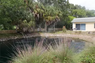 2411 Aspinwall St, Sarasota, FL 34237 - Photo 3