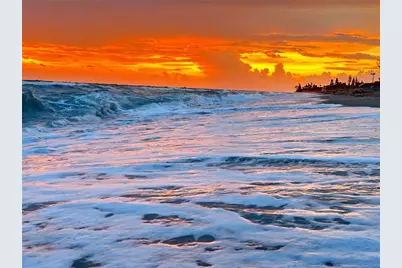 303 Morningside Drive, Palm Harbor, FL 34683 - Photo 13