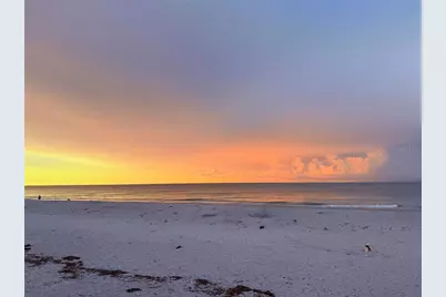 303 Morningside Drive, Palm Harbor, FL 34683 - Photo 9