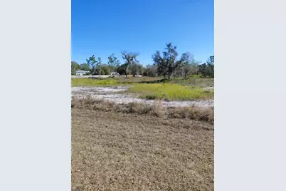 39925 20th Place E, Myakka City, FL 34251 - Photo 1