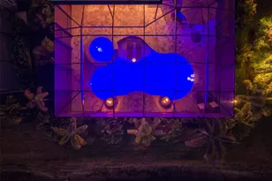 8134 Redonda Loop, Lakewood Ranch, FL 34202 - Photo 53