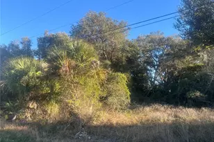 2503 54th St SW, Lehigh Acres, FL 33976 - Photo 3