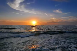 8764 Midnight Pass Rd, Sarasota, FL 34242 - Photo 53