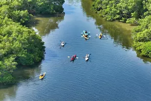 4750 Gulf of Mexico Dr, Longboat Key, FL 34228 - Photo 47