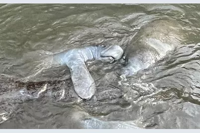 4750 Gulf Of Mexico Drive #Villa 8, Longboat Key, FL 34228 - Photo 45